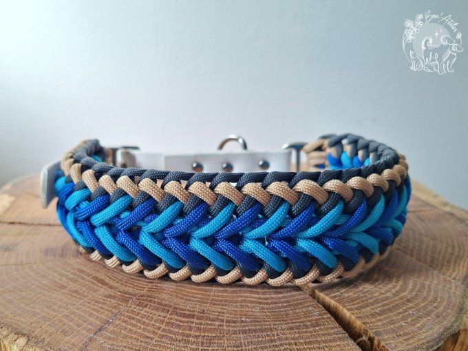 COLLIER REGLABLE "FALCO" - A adopter