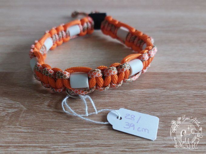 CHIENS _ COLLIER ANTI TIQUE & PUCE  _ A adopter