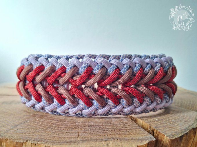 COLLIER REGLABLE "FALCO" - A adopter