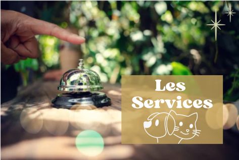 Bon'Atelier, naturopathie pour chien, chat, chevaux, fleurs de bach pour animaux, solutions naturelles pour animaux, bilan de vitalité chiens, prendre soin de son chien naturellement, prendre soin de son chat naturellement Bon'Atelier, naturopathie pour chien, chat, chevaux, fleurs de bach pour animaux, solutions naturelles pour animaux, bilan de vitalité chiens, prendre soin de son chien naturellement, prendre soin de son chat naturellement