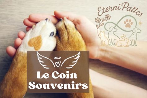 Bon'Atelier, Eternipattes, souvenir de vos chiens et de vos chats avec des poils ou cendres, souvenirs chiens, souvenirs chats, urne chien, mémorial animal, deuil animalier, Cadre résine chien Bon'Atelier, Eternipattes, souvenir de vos chiens et de vos chats avec des poils ou cendres, souvenirs chiens, souvenirs chats, urne chien, mémorial animal, deuil animalier, Cadre résine chien