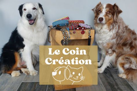 Bon'Atelier, Animalerie, collier, laisse, jouet pour chiens et chats, en paracord et Biothane, médaille identification résine Bon'Atelier, Animalerie, collier, laisse, jouet pour chiens et chats, en paracord et Biothane, médaille identification résine